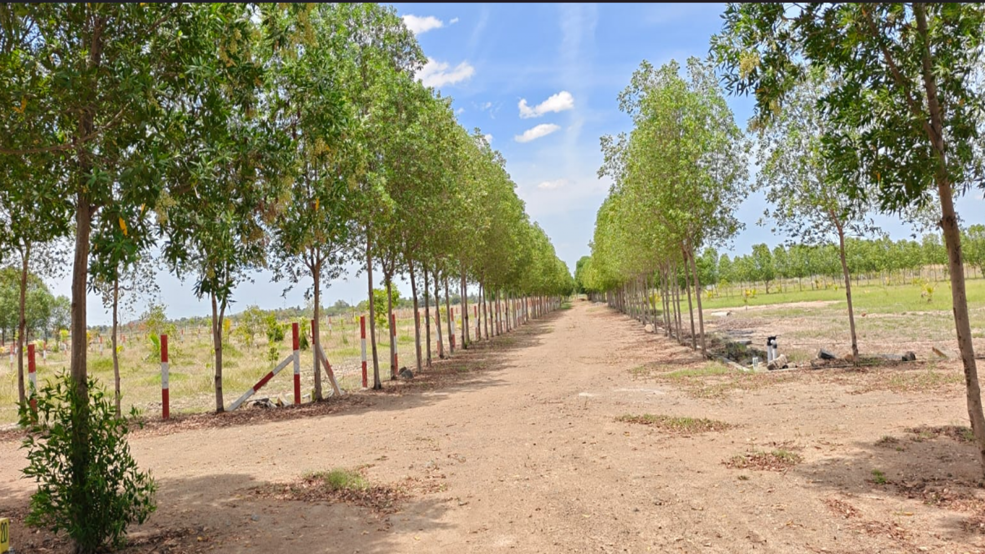 Premier Saravanaa Farms