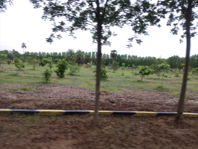 Premier Saravanaa Farms