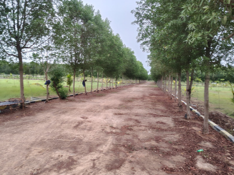 Premier Saravanaa Farms