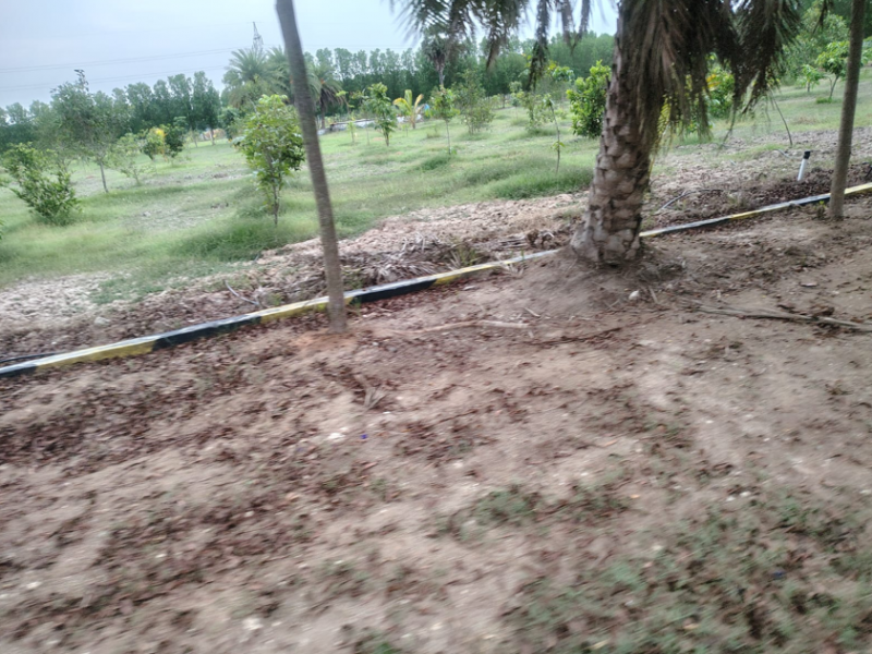 Premier Saravanaa Farms