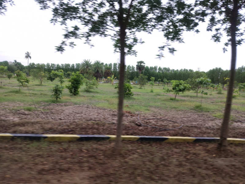 Premier Saravanaa Farms
