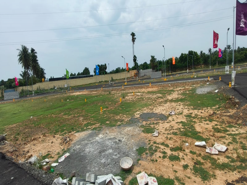 Evergreen City