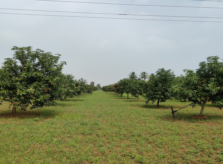 Commercial Property for sale in Palur