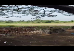 15600 Sq.Ft Land for sale in Chengalpet