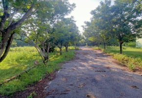 675 Sq.Ft Land for sale in Sriperumbudur