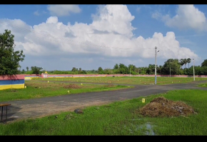 1000 Sq.Ft Land for sale in Parandur