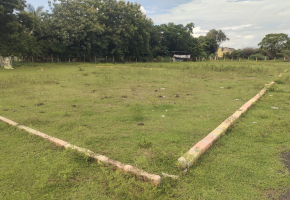 890 Sq.Ft Land for sale in Red Hills