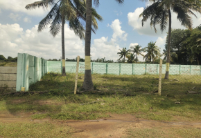 1281 Sq.Ft Land for sale in Guduvanchery