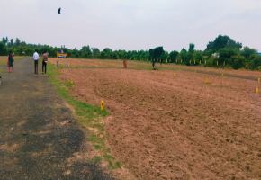 1477 Sq.Ft Land for sale in Tirukazhukundram