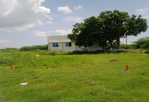 1000 Sq.Ft Land for sale in Thiruvallur