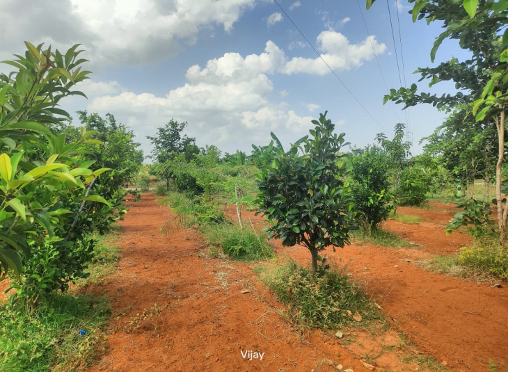 Agricultural farm land for sale in Madurantakam