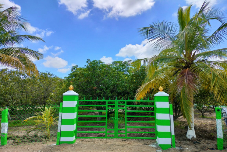 Agricultural farm land for sale in Acharapakkam