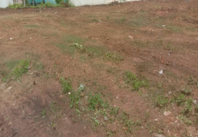 12467 Sq.Ft Land for sale in Pallavaram