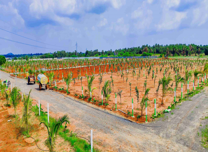 Agricultural farm land for sale in ECR