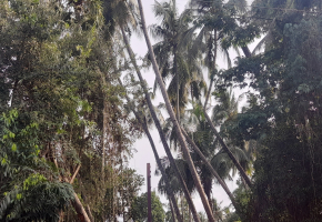 3 BHK flat for sale in Moolakadai