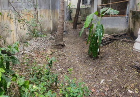 3300 Sq.Ft Land for sale in Villivakkam