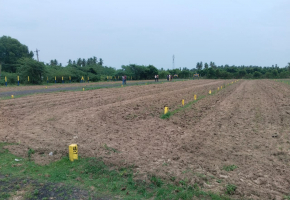 1477 Sq.Ft Land for sale in Tirukazhukundram
