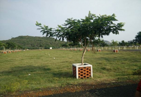 Land for sale in Chettipunniyam