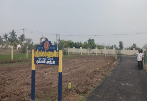 1000 Sq.Ft Land for sale in Acharapakkam