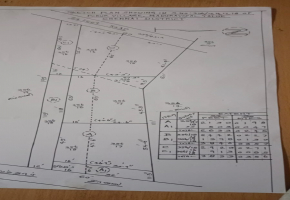 2920 Sq.Ft Land for sale in Porur
