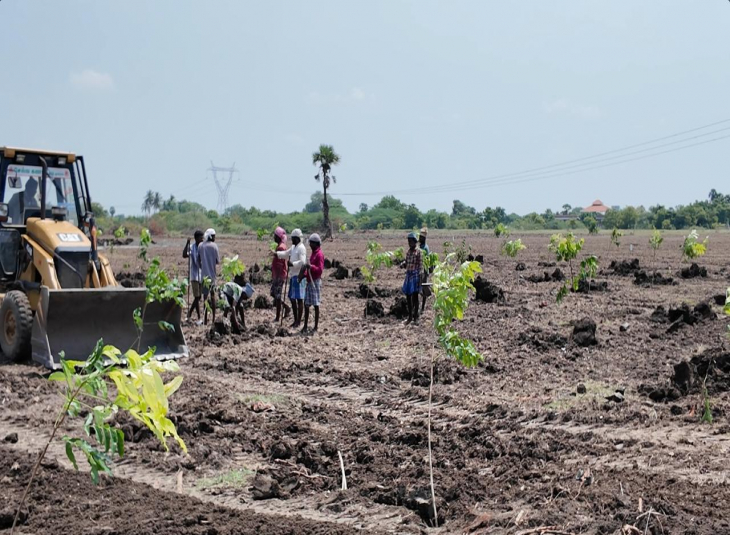 Agricultural farm land for sale in Acharapakkam