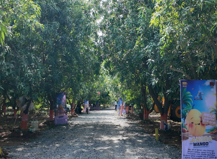 Agricultural farm land for sale in Melmaruvathur