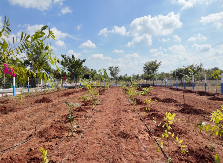 Agricultural farm land for sale in Mamandur