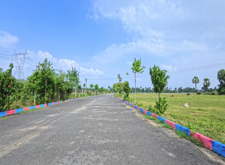 Agricultural farm land for sale in Mamandur