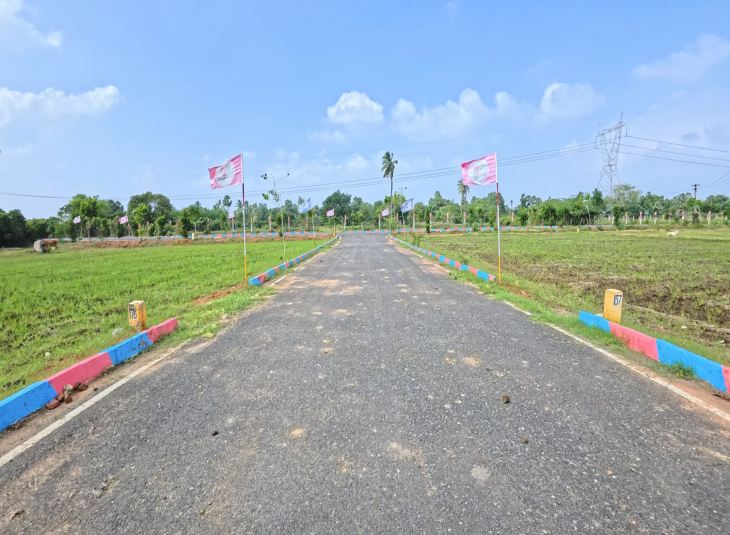 Agricultural farm land for sale in Mamandur