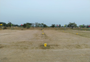 Land for sale in Walajabad