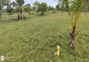 Land for sale in Acharapakkam