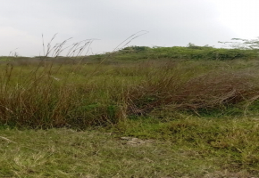 Land for sale in Mudichur