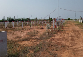 Land for sale in Thamaraipakkam