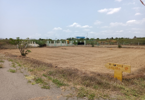 Land for sale in Manali