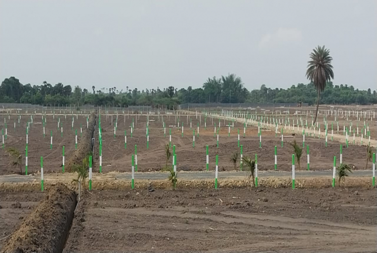 Commercial Land for sale in Chengalpet