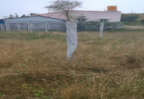 Land for sale in Veppampattu