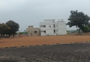 Land for sale in Sevvapet