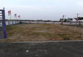 Land for sale in Vengaivasal
