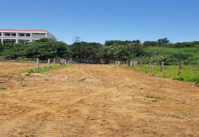 Land for sale in Thalambur